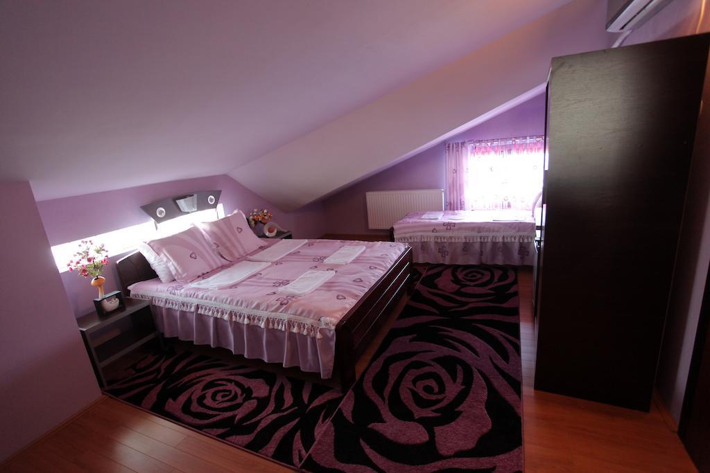 Villa Atina Stara Pazova Oda fotoğraf